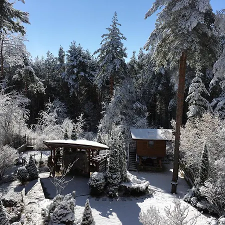 Luxury Borina Villa *