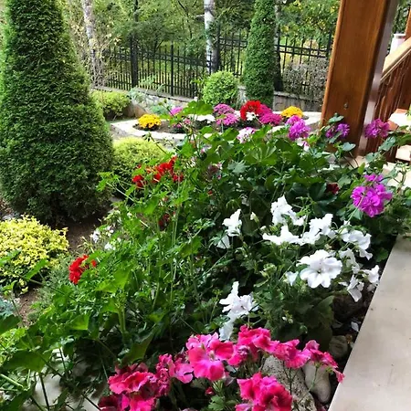 Villa Luxury Borina *