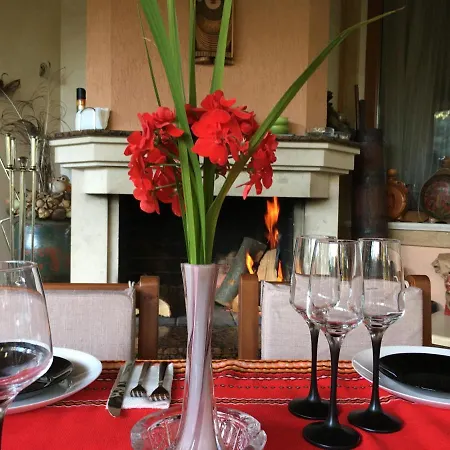 Luxury Borina * Zheleznitsa